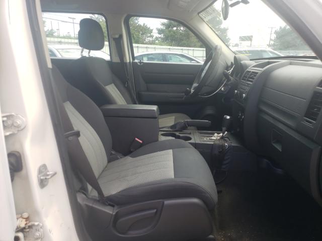 2010 DODGE NITRO SE 1D4PT2GK8AW100213