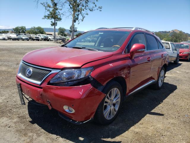 2010 LEXUS RX 450 JTJBC1BA8A2415775