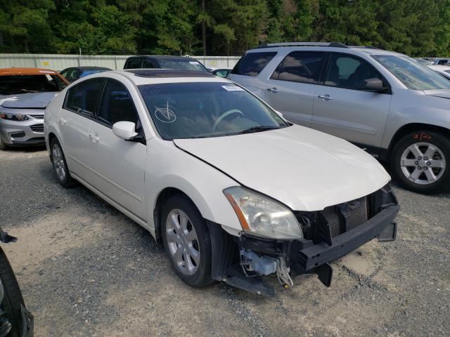photo NISSAN MAXIMA 2008