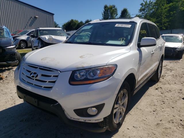 2011 HYUNDAI SANTA FE 5XYZKDAG7BG069365