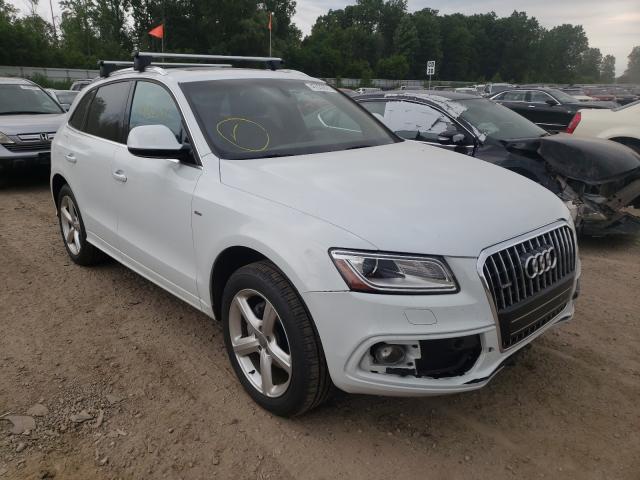 VIN WA1M2AFP7HA074621 2017 Audi Q5, Premium Plus no.1