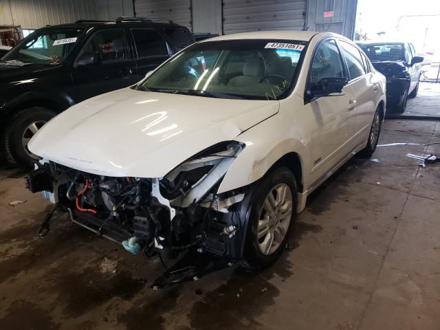 2011 NISSAN ALTIMA HYB 1N4CL2AP4BC110827