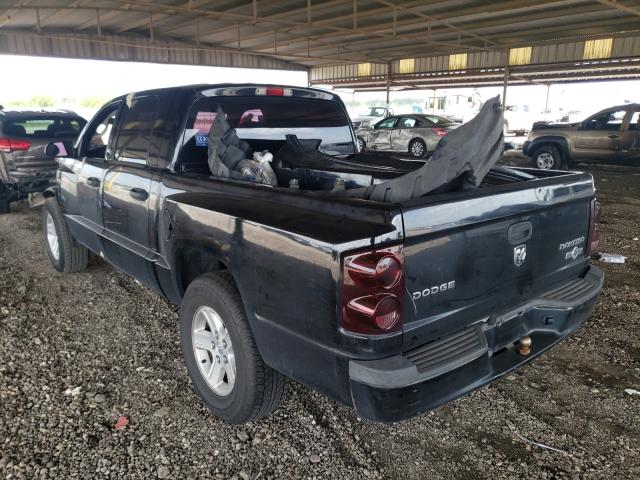 2011 DODGE DAKOTA SLT 1D7RE3GK5BS619501
