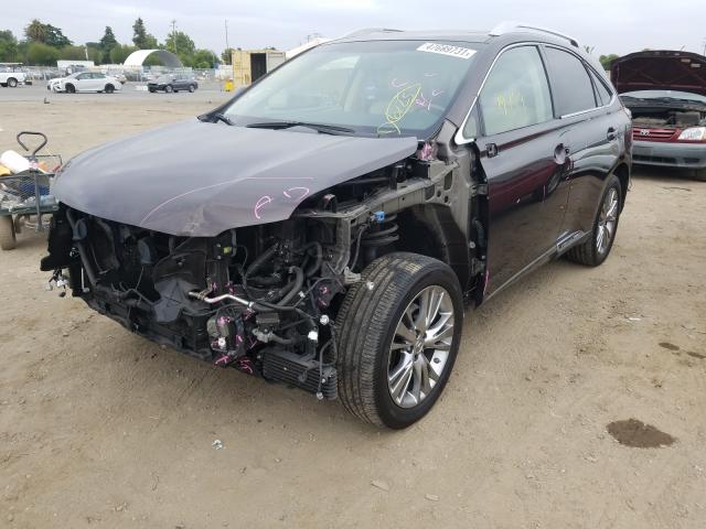 2013 LEXUS RX 450 JTJBC1BA0D2052957