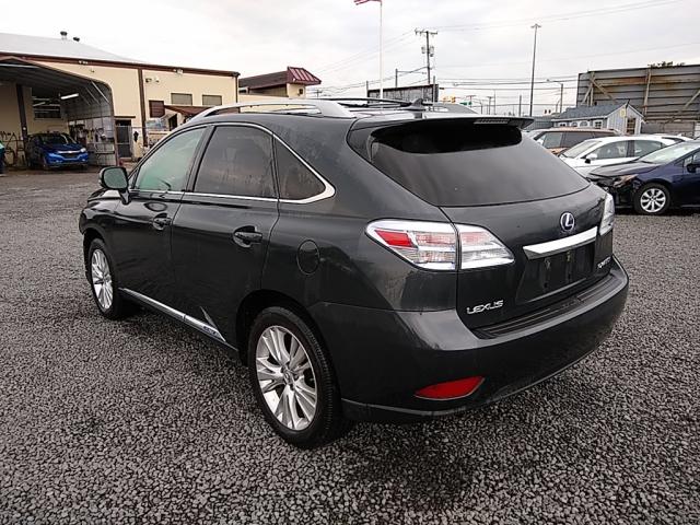 2010 LEXUS RX 450 JTJBC1BA3A2023688