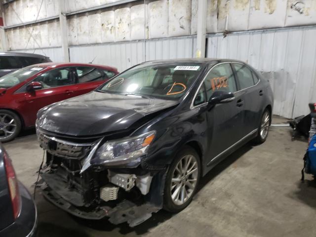 2010 LEXUS HS 250H JTHBB1BA6A2007117