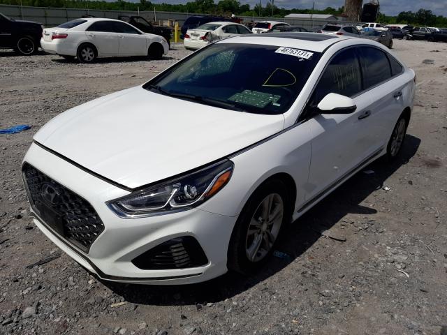 2019 HYUNDAI SONATA LIM 5NPE34AF3KH729722