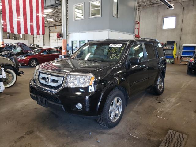 2011 HONDA PILOT 5FNYF4H54BB018630