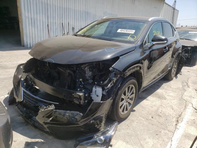 2019 LEXUS NX 300H JTJBJRBZ5K2102730