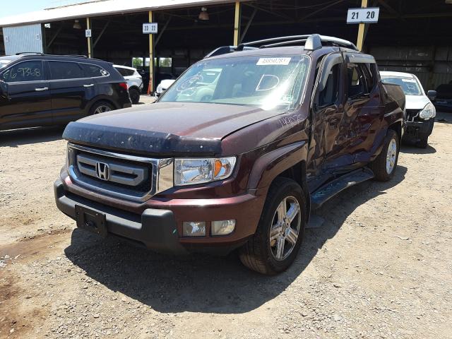 2011 HONDA RIDGELINE 5FPYK1F5XBB007491