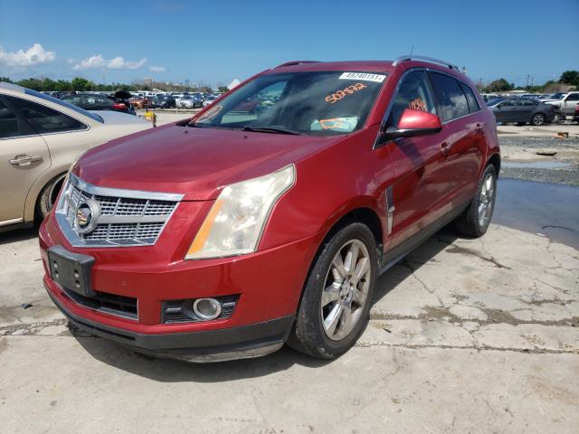 2010 CADILLAC SRX PERFOR 3GYFNEEY7AS502872