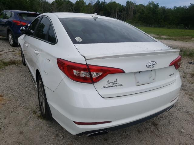 2016 HYUNDAI SONATA SPO 5NPE34AF7GH367871