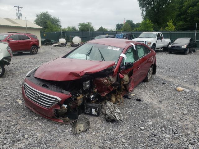 5NPE24AF1GH271494 Hyundai Sonata Se 2016. Фото: 1