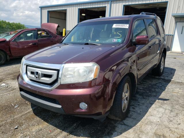 2010 HONDA PILOT EX 5FNYF4H40AB031932