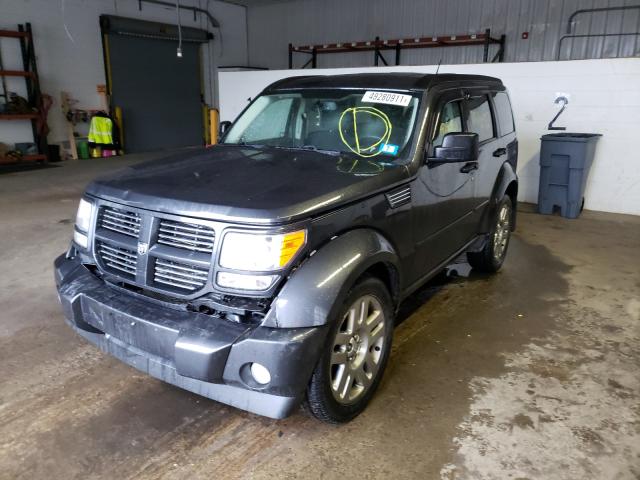 2010 DODGE NITRO DETO 1D4PU6GXXAW157481