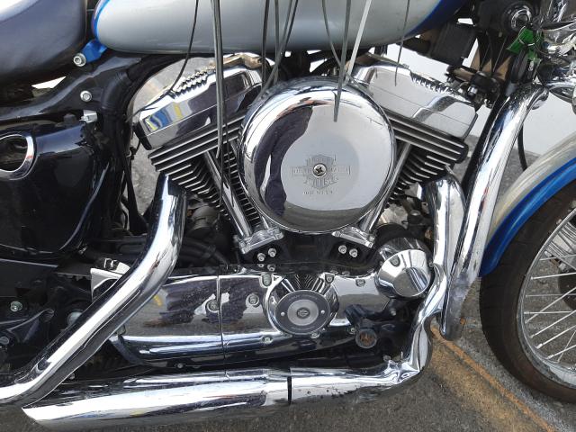 2005 HARLEY-DAVIDSON XL1200 C 1HD1CGP395K455072