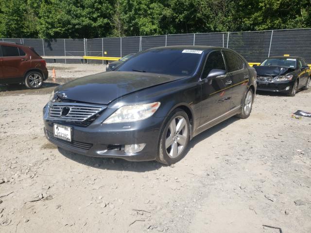 2011 LEXUS LS 460 JTHBL5EF1B5102776