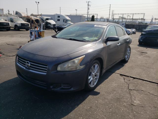 2010 NISSAN MAXIMA 1N4AA5AP8AC859448