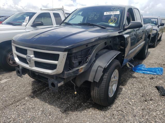 2011 DODGE DAKOTA SLT 1D7RE3GK5BS619501
