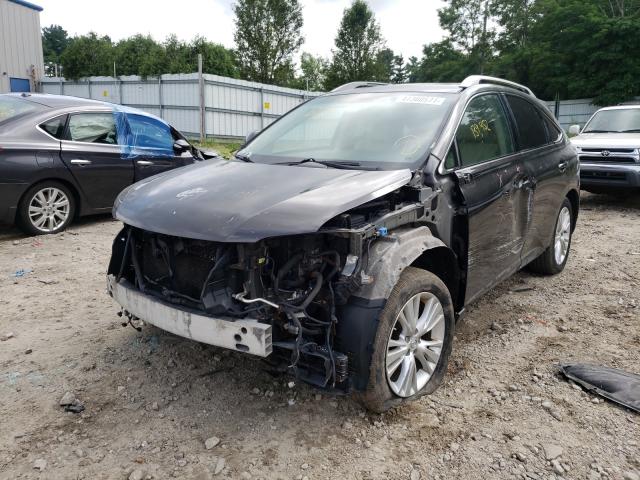 2010 LEXUS RX 450 JTJBC1BA3A2013467