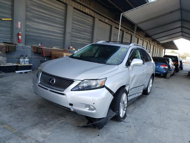 2010 LEXUS RX 450 JTJBC1BA1A2018621