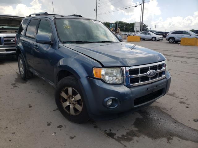 Ford Escape Blue 2010