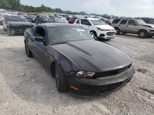 Mustang 2011 Gray