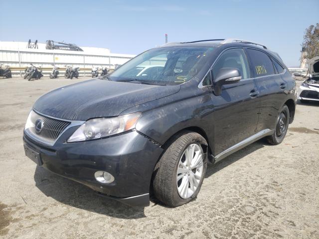 2010 LEXUS RX 450 JTJBC1BA8A2415419