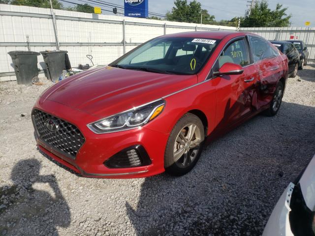 2019 HYUNDAI SONATA LIM 5NPE34AF9KH784630