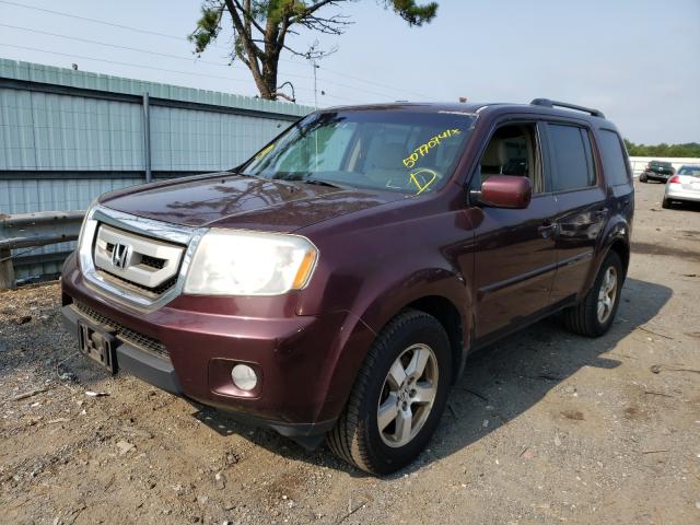 2010 HONDA PILOT EX 5FNYF4H49AB031444