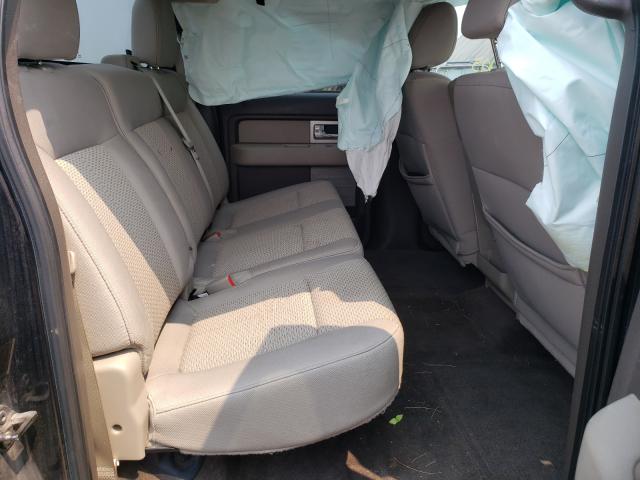 2010 FORD F-150 1FTEW1E88AFD46076