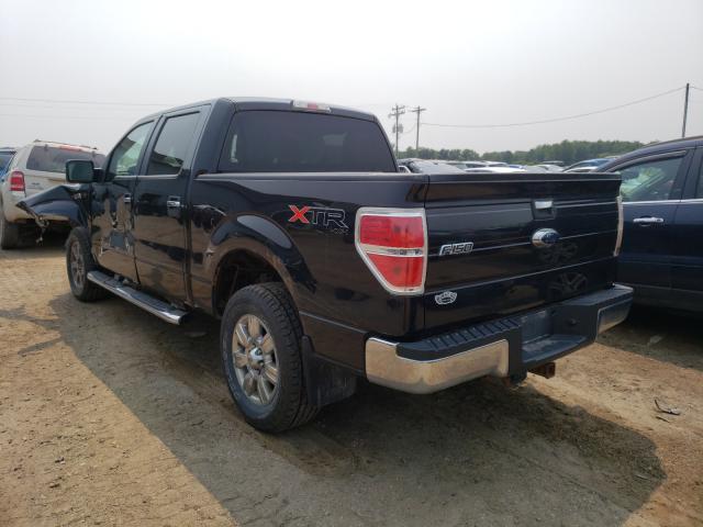 2010 FORD F-150 1FTEW1E88AFD46076