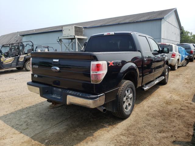 2010 FORD F-150 1FTEW1E88AFD46076
