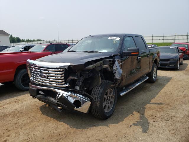 2010 FORD F-150 1FTEW1E88AFD46076