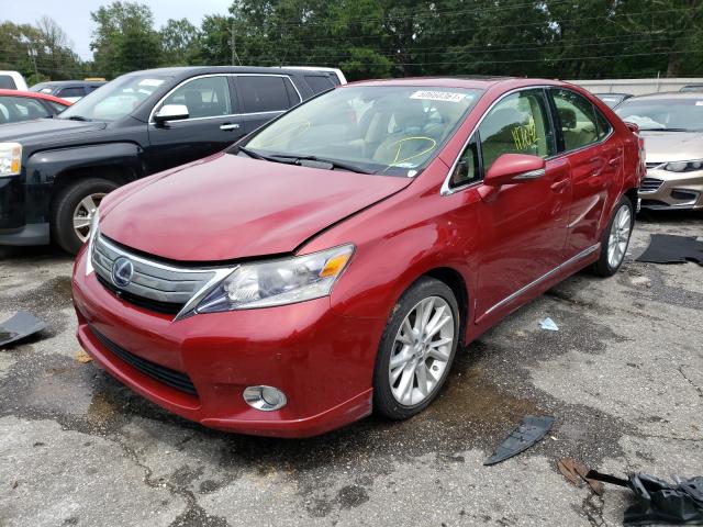 2010 LEXUS HS 250H JTHBB1BA1A2032555