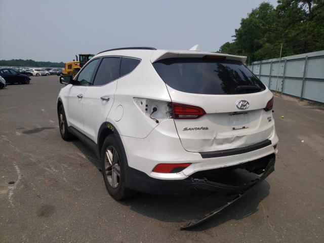 2017 HYUNDAI SANTA FE 5NMZUDLB7HH012206