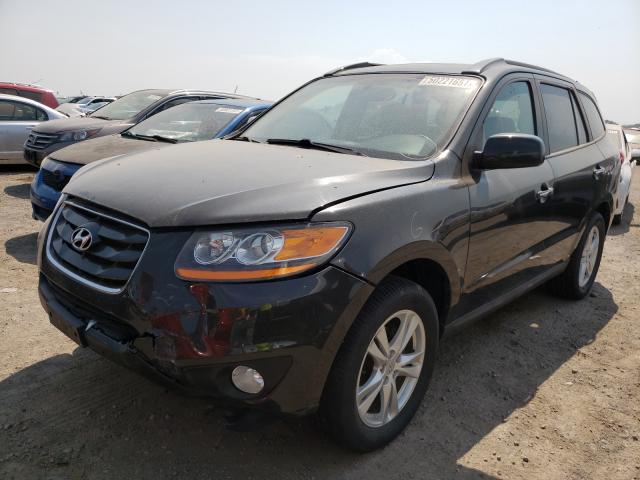 2011 HYUNDAI SANTA FE 5XYZKDAG9BG065768