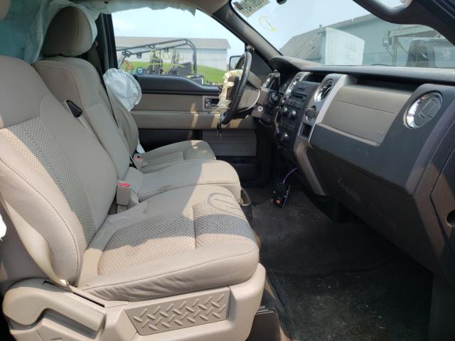 2010 FORD F-150 1FTEW1E88AFD46076