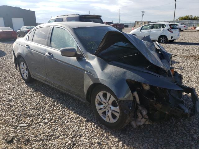 HONDA ACCORD LXP