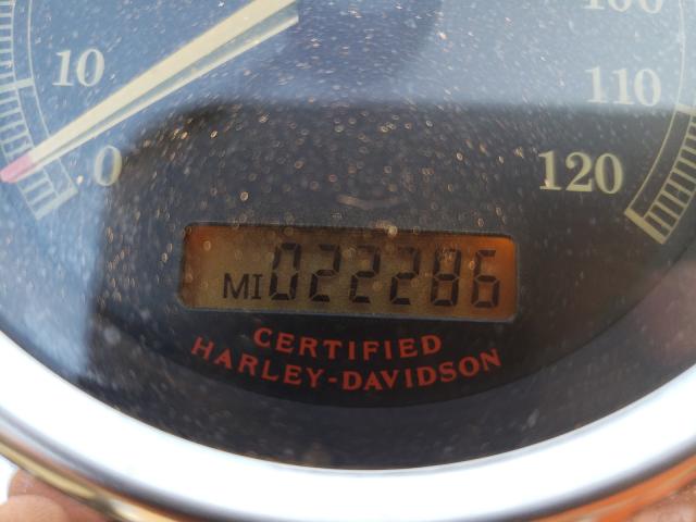 2006 HARLEY-DAVIDSON FXDLI 1HD1GN1116K333436