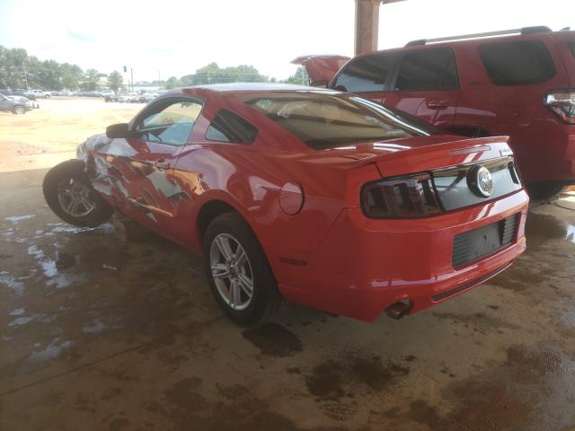 2013 FORD MUSTANG - 1ZVBP8AM0D5281033