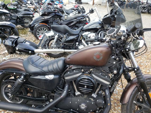 2019 HARLEY-DAVIDSON XL883 N 1HD4LE216KC425248