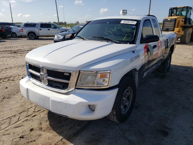 2011 DODGE DAKOTA ST 1D7RE2BK2BS565978