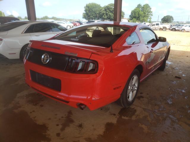 2013 FORD MUSTANG - 1ZVBP8AM0D5281033