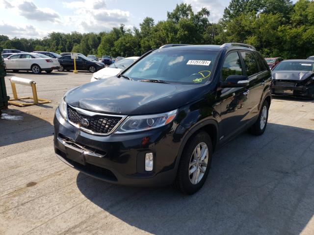 2014 KIA SORENTO LX 5XYKTCA68EG483730