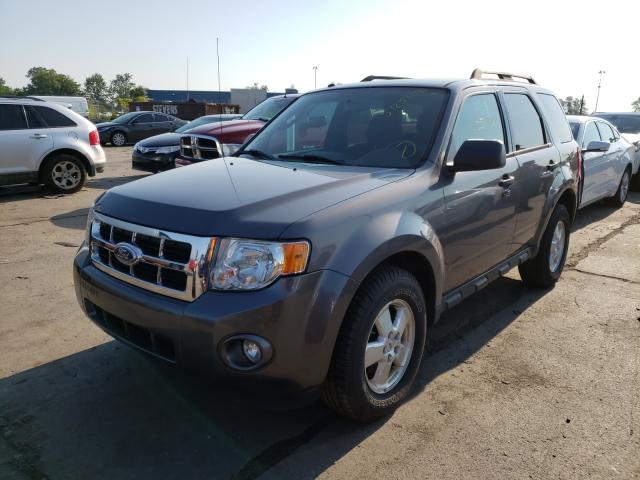 2011 FORD ESCAPE XLT 1FMCU9DG5BKA37884