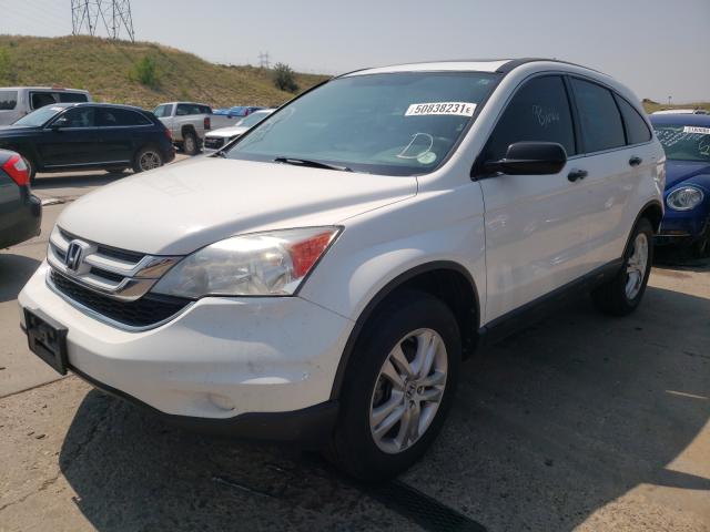2010 HONDA CR-V 5J6RE4H59AL098682