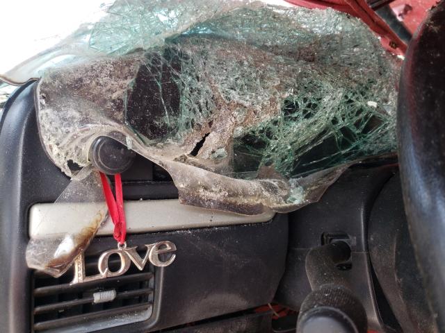 1FTEF15N1RNA18571 1994 Ford F150