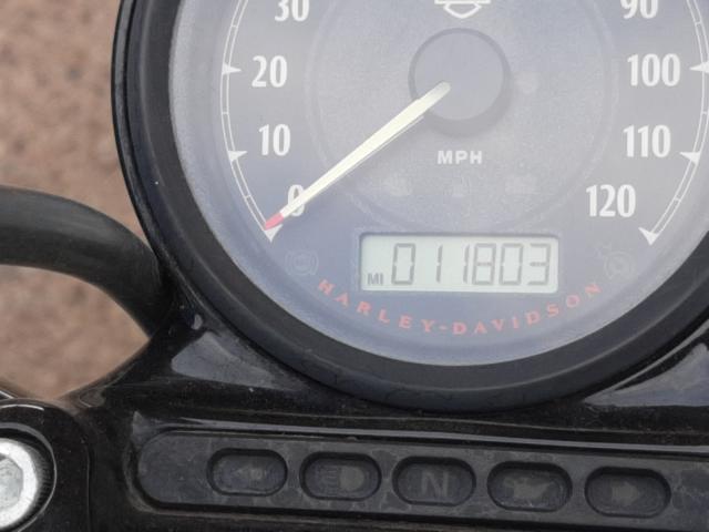 2014 HARLEY-DAVIDSON XL1200 FOR 1HD1LC315EC415837