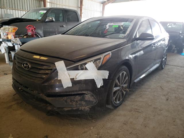 2016 HYUNDAI SONATA SPO 5NPE34AF8GH324494